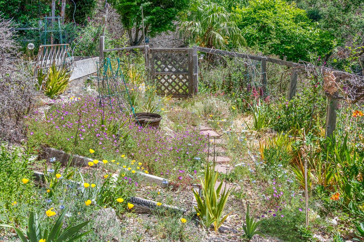 531 Summit Drive, SANTA CRUZ, California 95060, ,Lots And Land,For Sale,Summit Drive,40964755