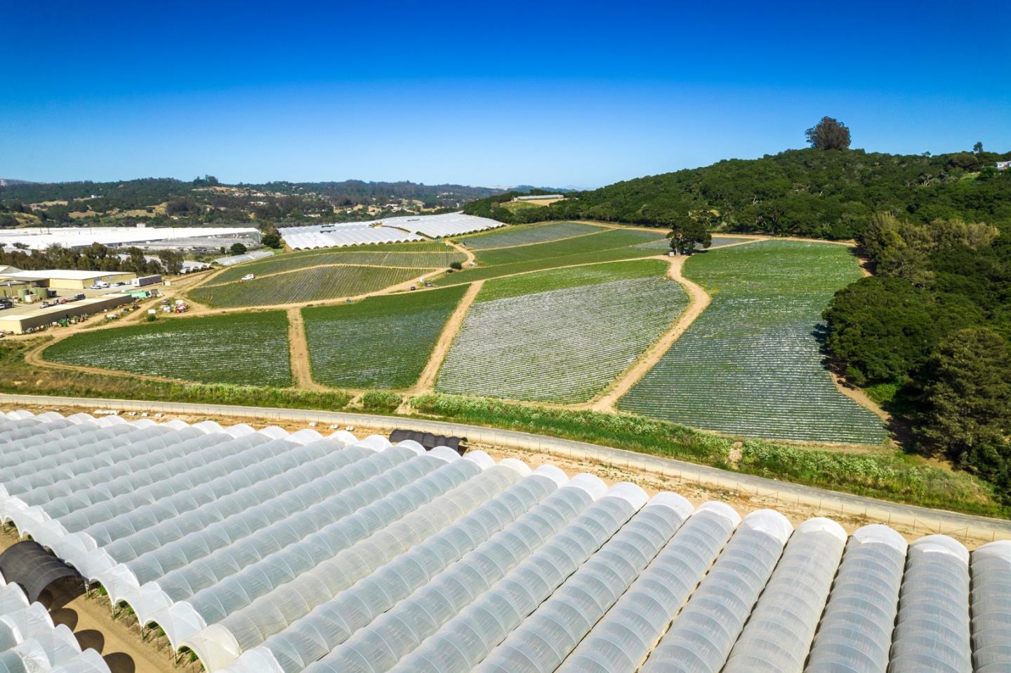 135 Maher Road, ROYAL OAKS, California 95076, ,Comm Lots And Land,For Sale,Maher Road,40964759