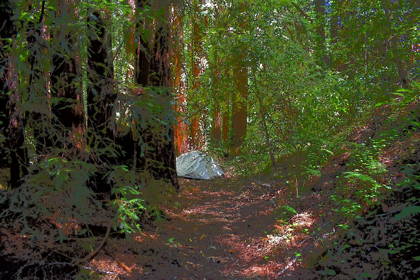 300 Cortez Drive, BOULDER CREEK, California 95006, ,Lots And Land,For Sale,Cortez Drive,40964765