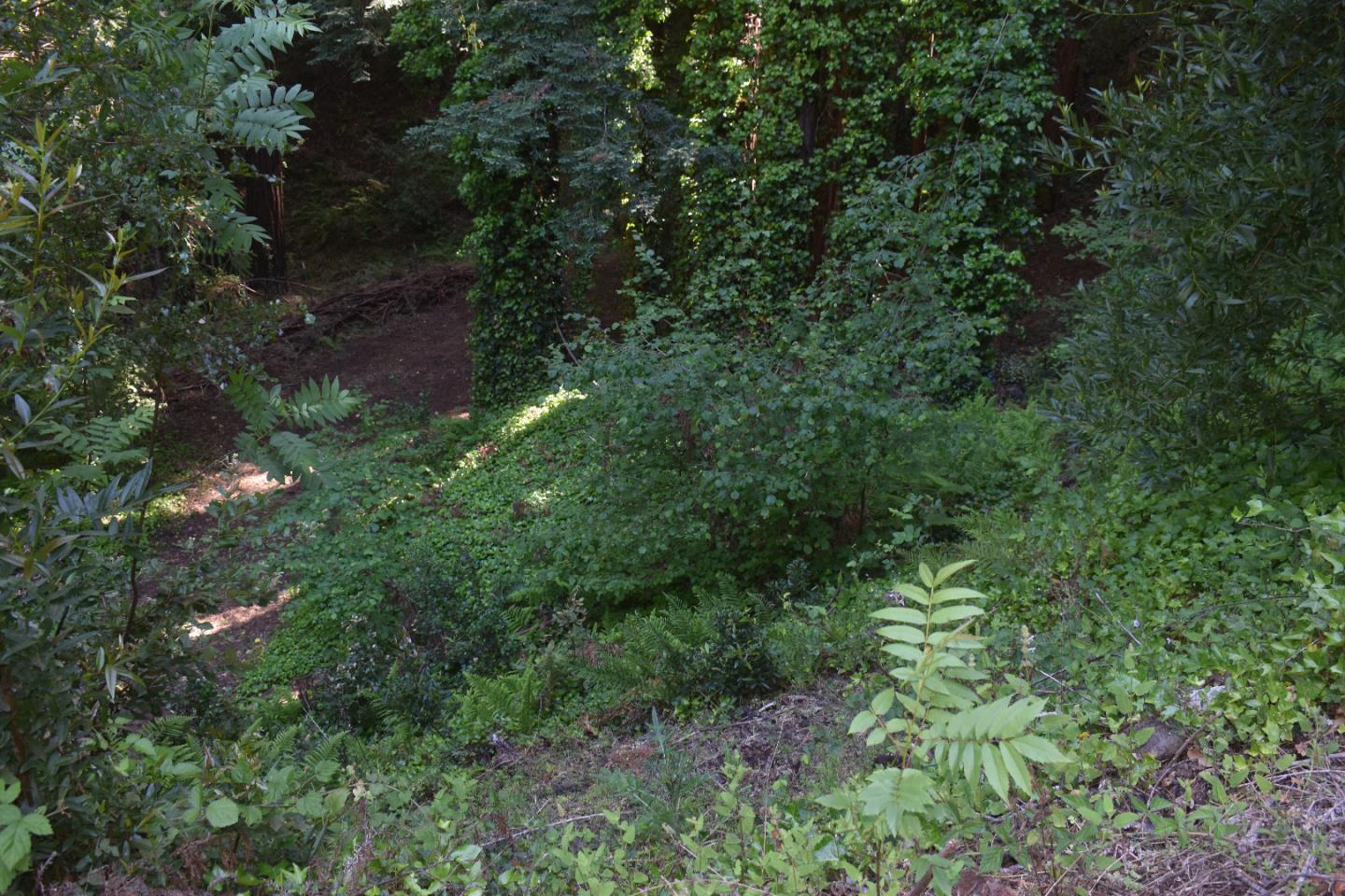 300 Cortez Drive, BOULDER CREEK, California 95006, ,Lots And Land,For Sale,Cortez Drive,40964765