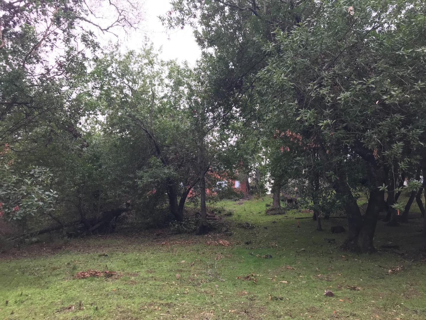 0 El Nido Road, PORTOLA VALLEY, California 94028, ,Lots And Land,For Sale,El Nido Road,40964767