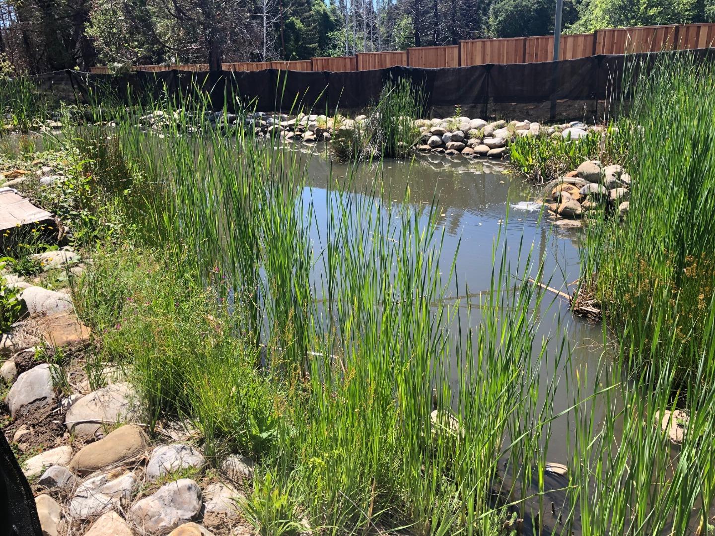 335 Braemoor Drive, SANTA CRUZ, California 95060, ,Lots And Land,For Sale,Braemoor Drive,40964781