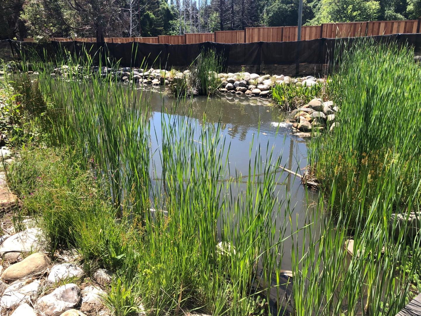 335 Braemoor Drive, SANTA CRUZ, California 95060, ,Lots And Land,For Sale,Braemoor Drive,40964781