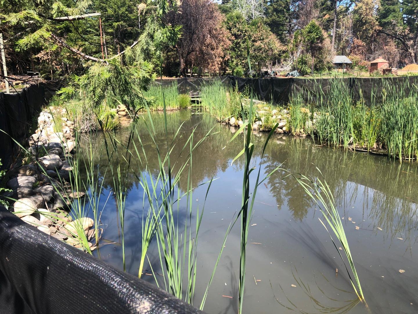 335 Braemoor Drive, SANTA CRUZ, California 95060, ,Lots And Land,For Sale,Braemoor Drive,40964781