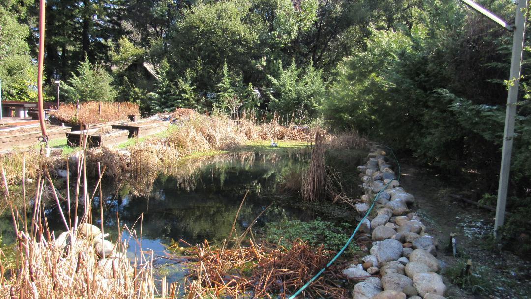 335 Braemoor Drive, SANTA CRUZ, California 95060, ,Lots And Land,For Sale,Braemoor Drive,40964781