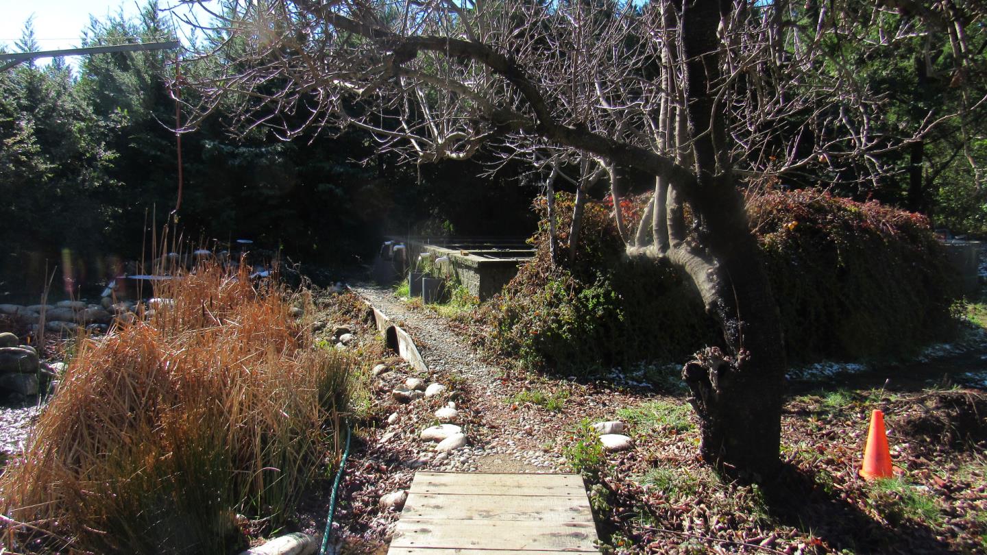 335 Braemoor Drive, SANTA CRUZ, California 95060, ,Lots And Land,For Sale,Braemoor Drive,40964781