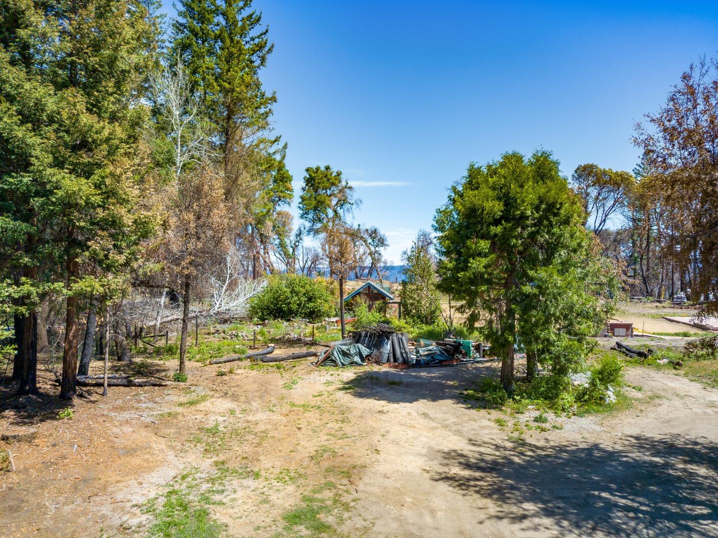 335 Braemoor Drive, SANTA CRUZ, California 95060, ,Lots And Land,For Sale,Braemoor Drive,40964781