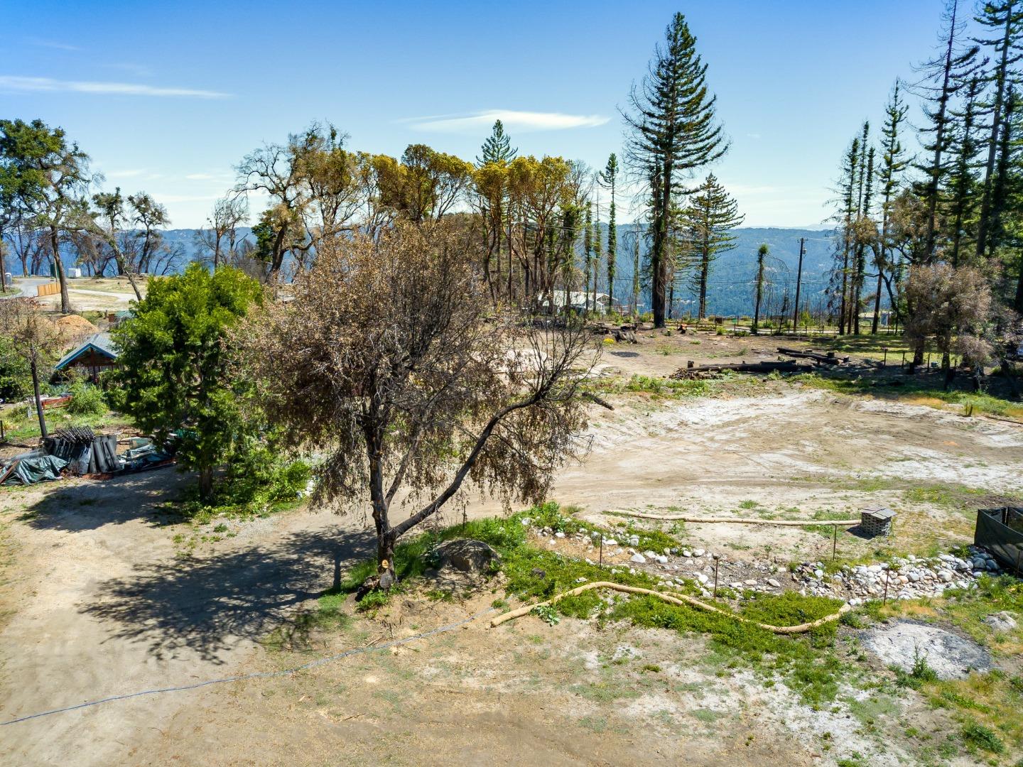 335 Braemoor Drive, SANTA CRUZ, California 95060, ,Lots And Land,For Sale,Braemoor Drive,40964781