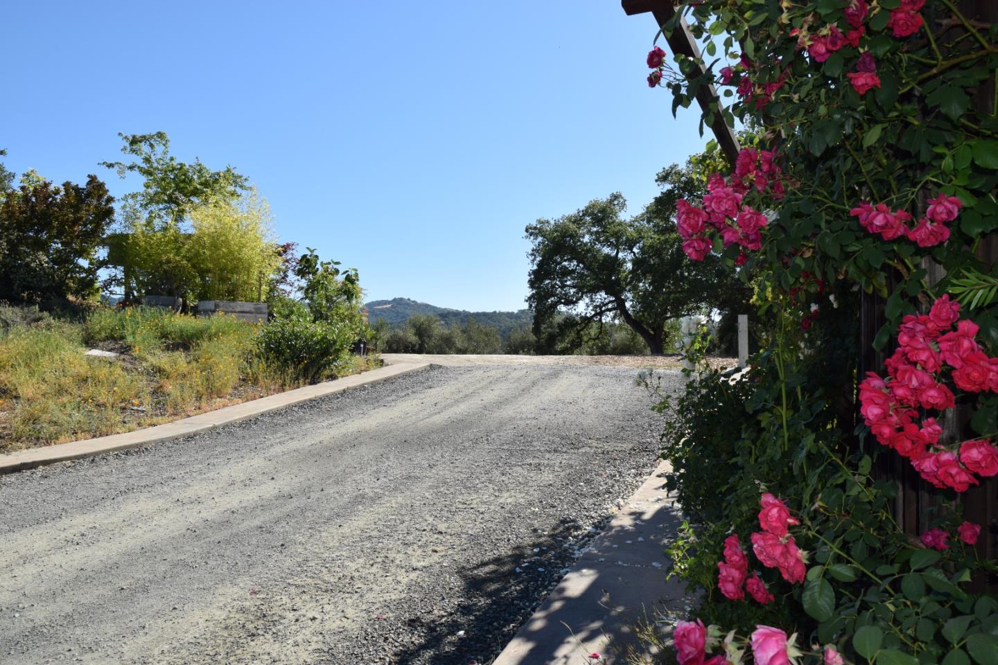 1271 Laverock Lane, ALAMO, California 94507, ,Lots And Land,For Sale,Laverock Lane,40964784