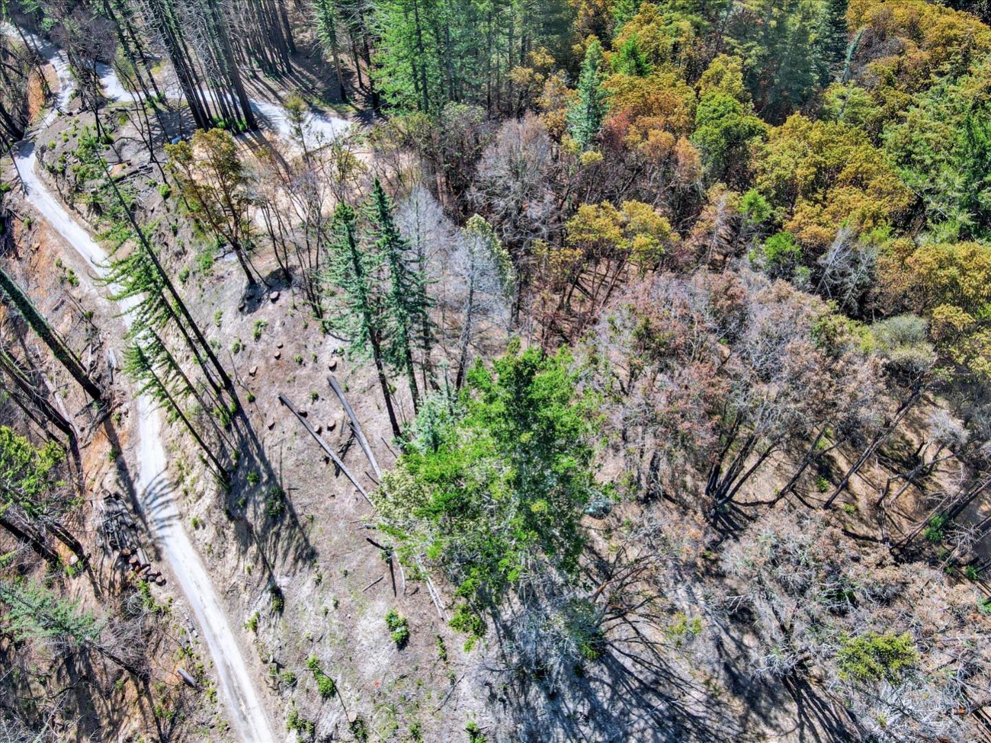 423 Lodge Rd, BOULDER CREEK, California 95006, ,Lots And Land,For Sale,Lodge Rd,40964779