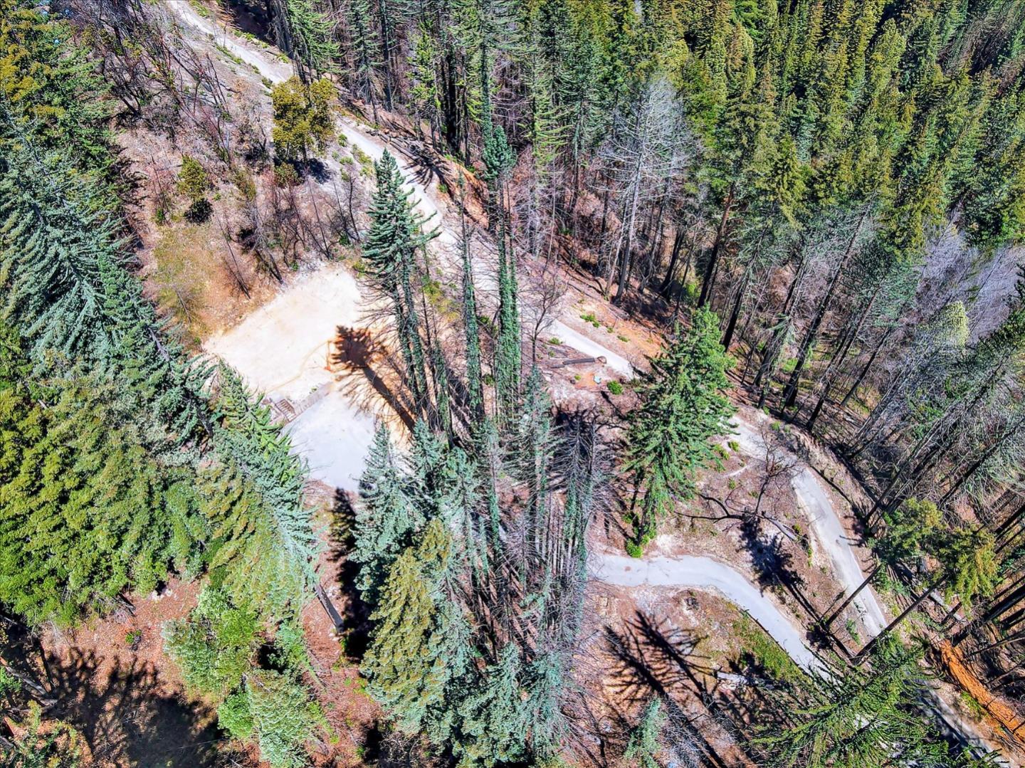 423 Lodge Rd, BOULDER CREEK, California 95006, ,Lots And Land,For Sale,Lodge Rd,40964779