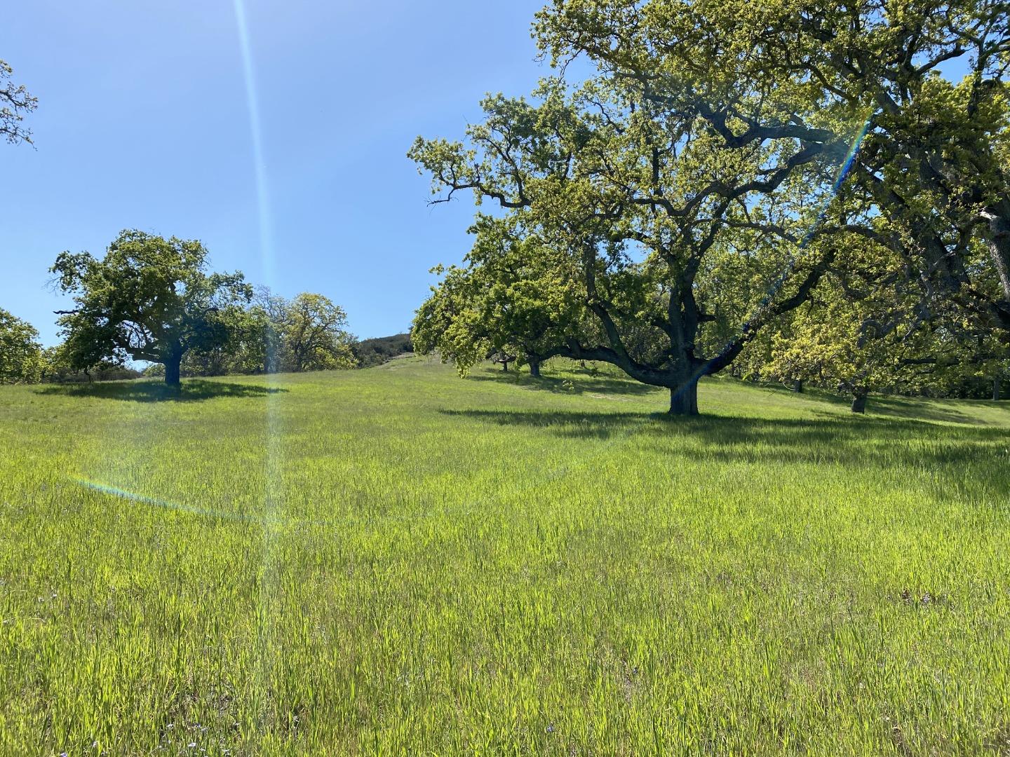 28 Long Ridge Trail, CARMEL, California 93923, ,Lots And Land,For Sale,Long Ridge Trail,40964783