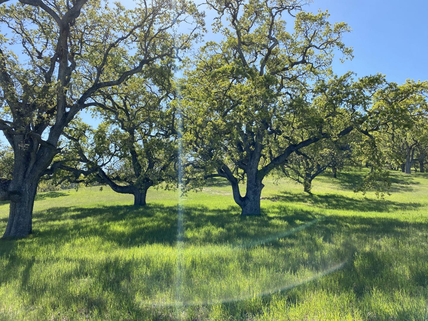 28 Long Ridge Trail, CARMEL, California 93923, ,Lots And Land,For Sale,Long Ridge Trail,40964783