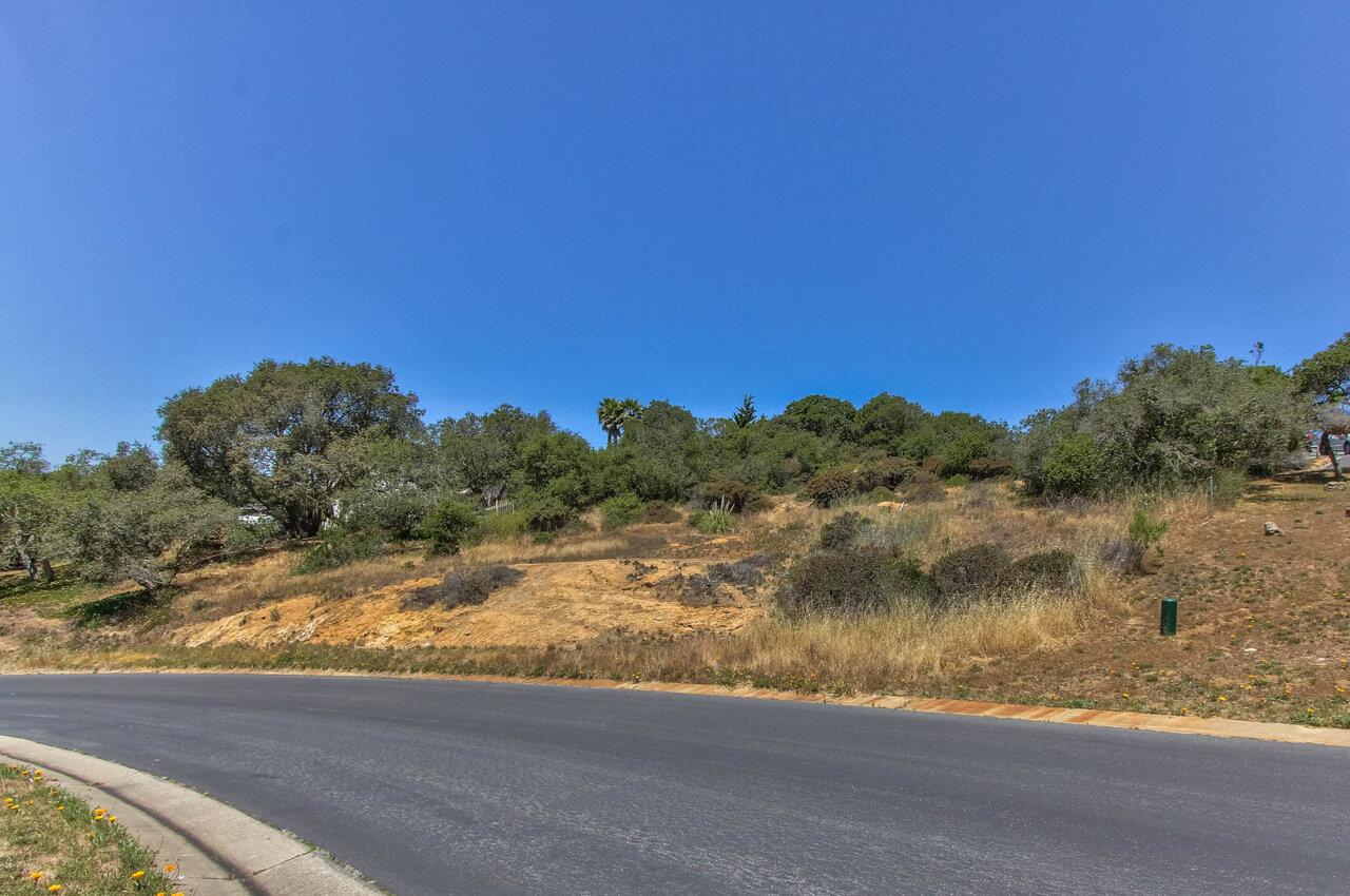 18221 Berta Canyon Road, SALINAS, California 93907, ,Lots And Land,For Sale,Berta Canyon Road,40964785