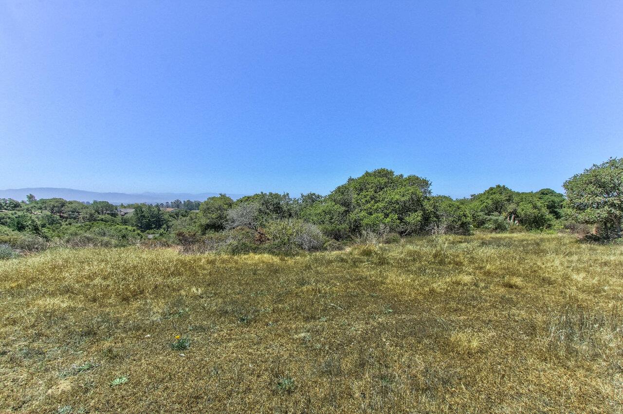 18221 Berta Canyon Road, SALINAS, California 93907, ,Lots And Land,For Sale,Berta Canyon Road,40964785