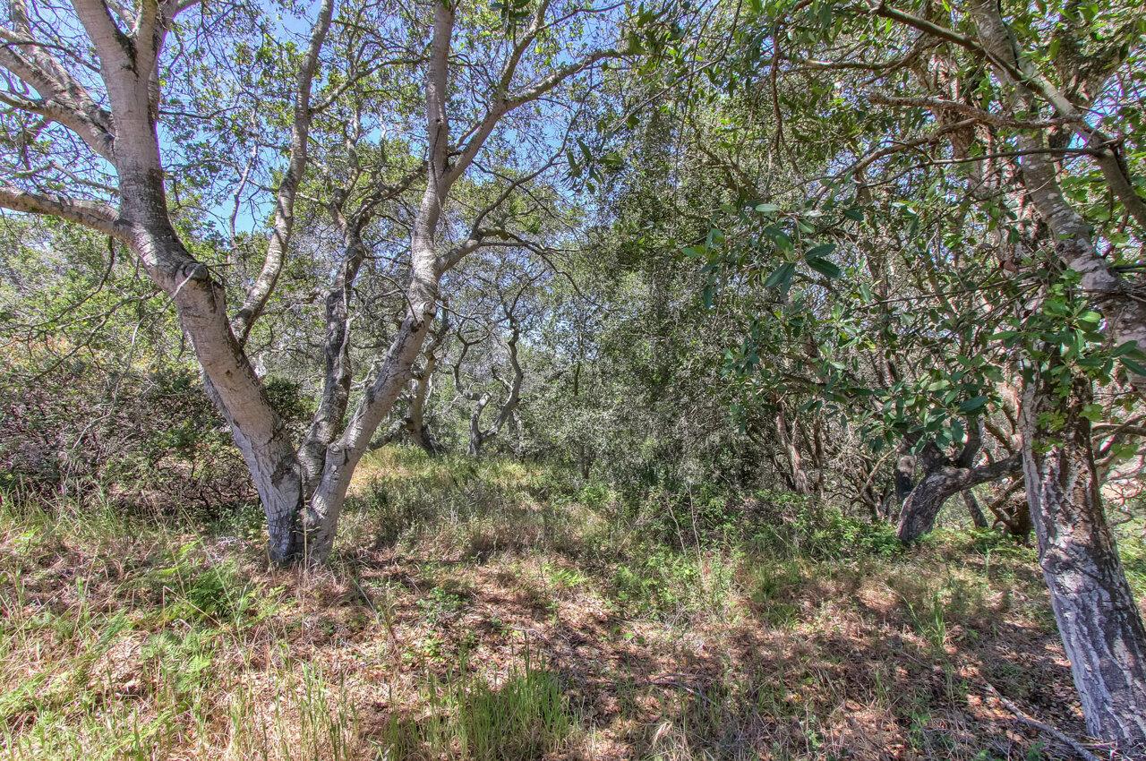 18221 Berta Canyon Road, SALINAS, California 93907, ,Lots And Land,For Sale,Berta Canyon Road,40964785