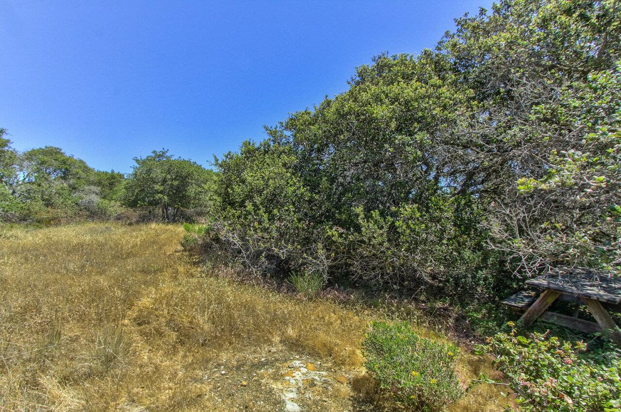 18221 Berta Canyon Road, SALINAS, California 93907, ,Lots And Land,For Sale,Berta Canyon Road,40964785