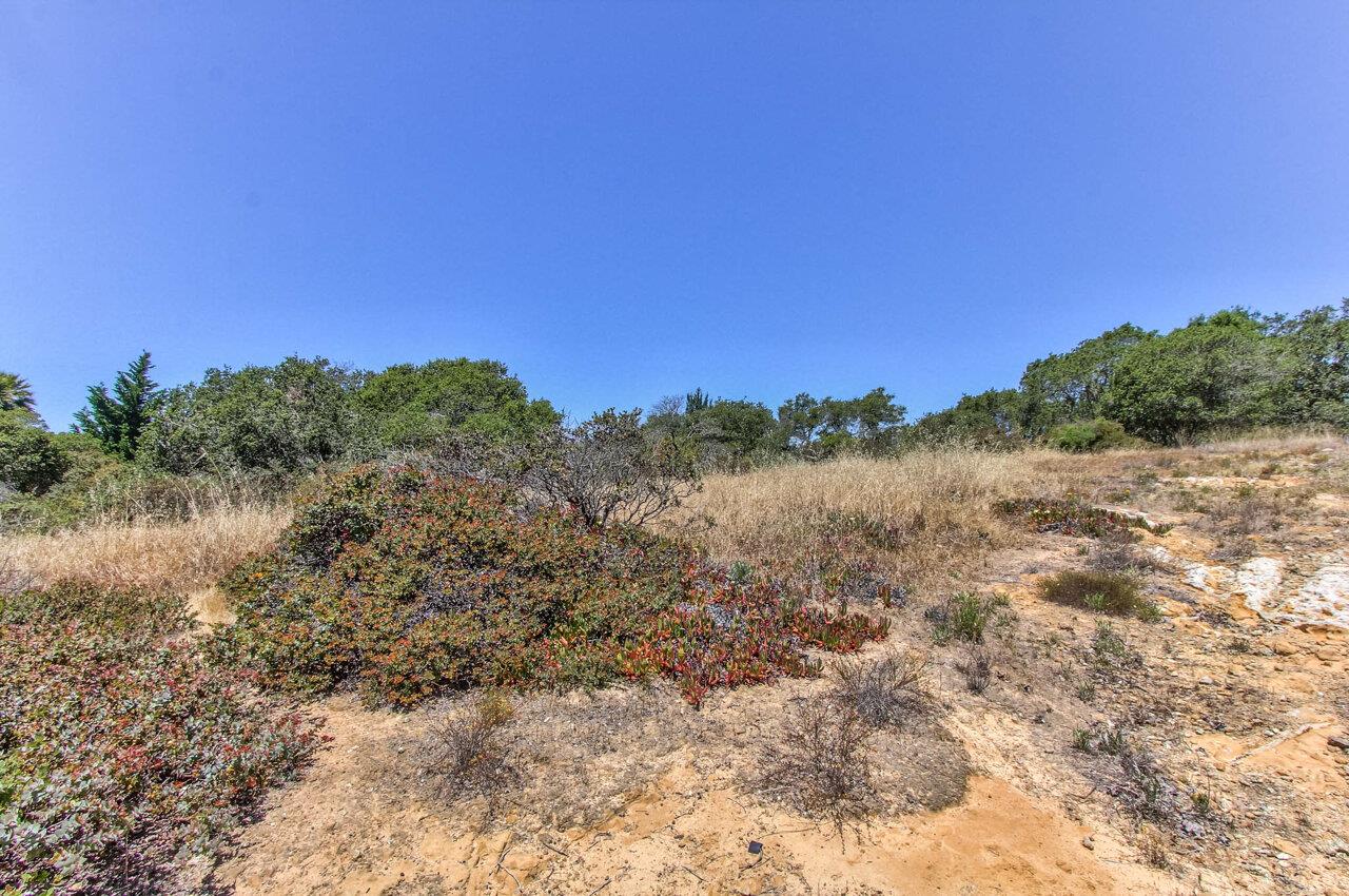 18221 Berta Canyon Road, SALINAS, California 93907, ,Lots And Land,For Sale,Berta Canyon Road,40964785