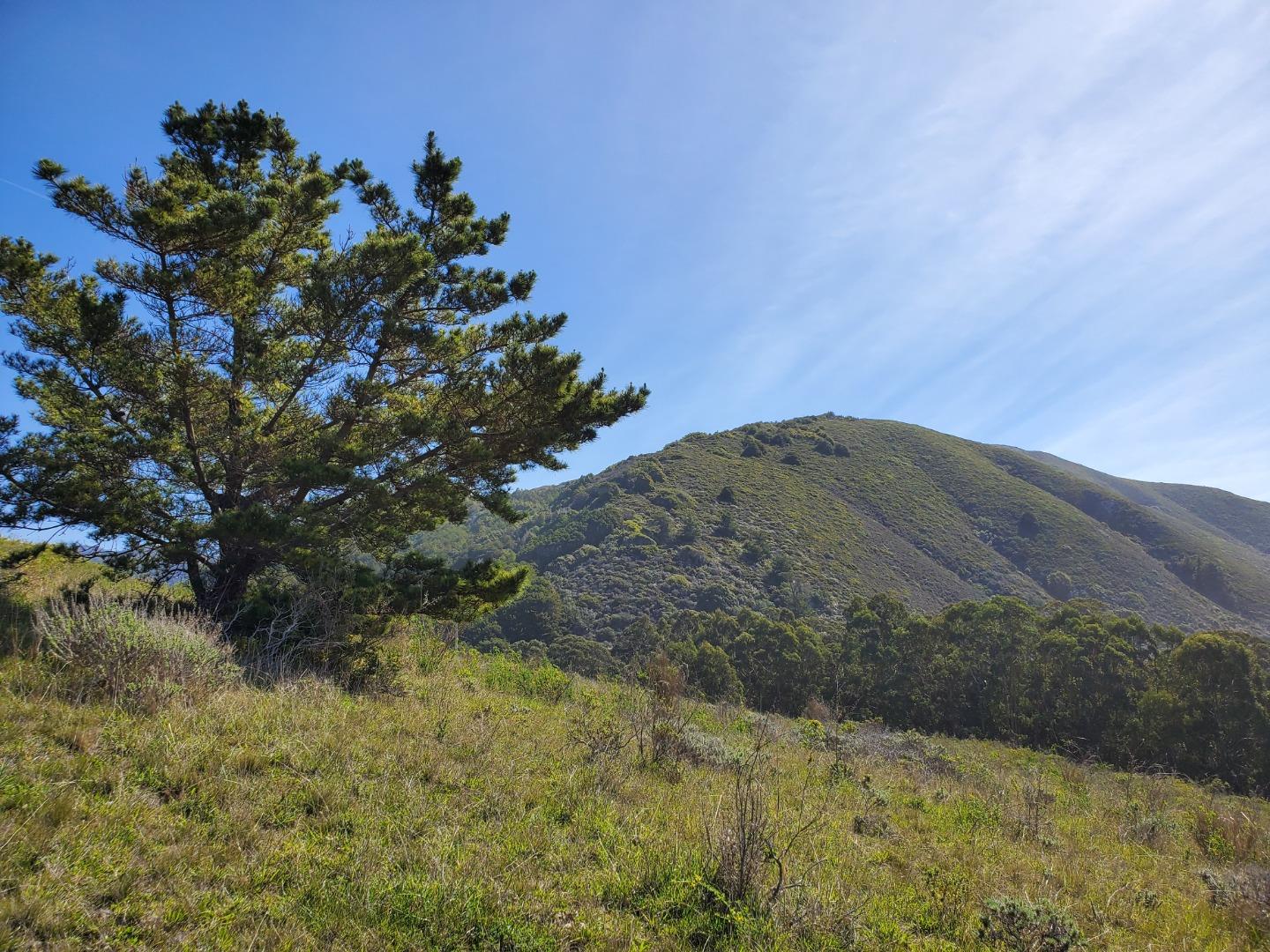 0 HIGHWAY 1, CARMEL, California 93923, ,Lots And Land,For Sale,HIGHWAY 1,40964791
