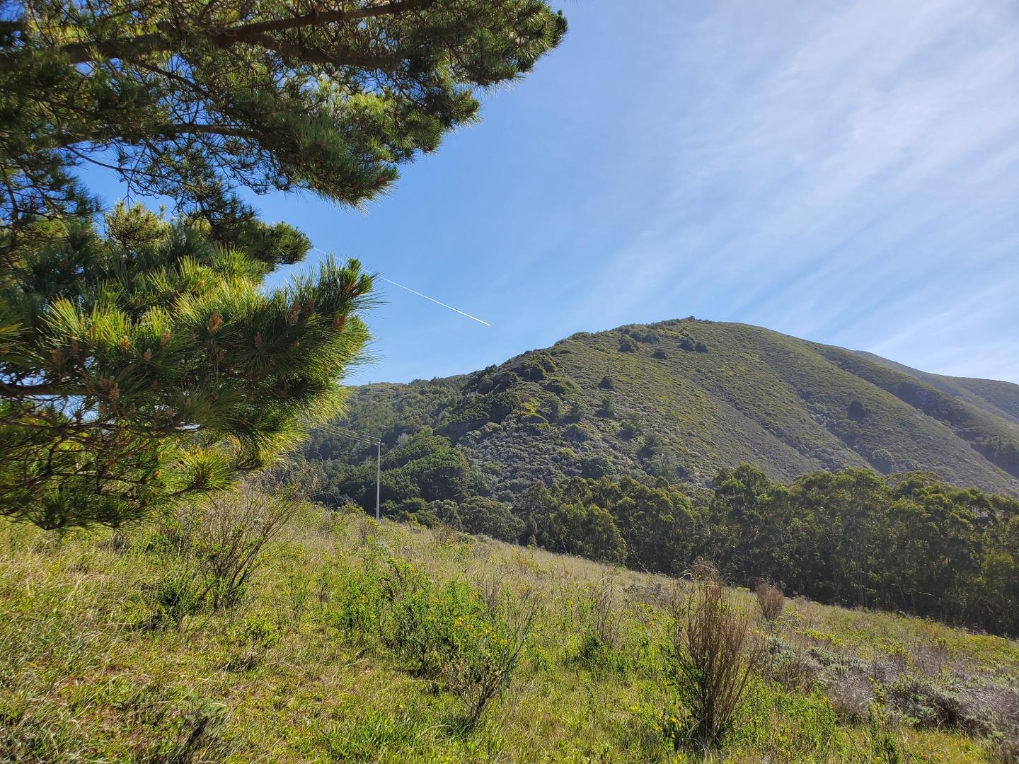 0 HIGHWAY 1, CARMEL, California 93923, ,Lots And Land,For Sale,HIGHWAY 1,40964791