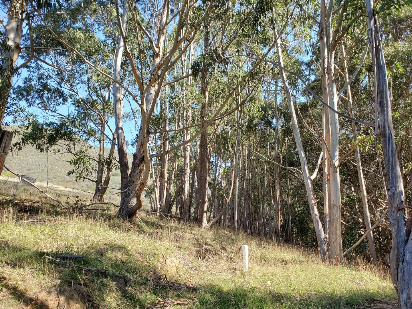 0 HIGHWAY 1, CARMEL, California 93923, ,Lots And Land,For Sale,HIGHWAY 1,40964791