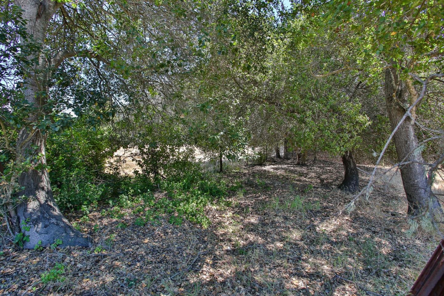 1032 Western Drive, SANTA CRUZ, California 95060, ,Lots And Land,For Sale,Western Drive,40964803