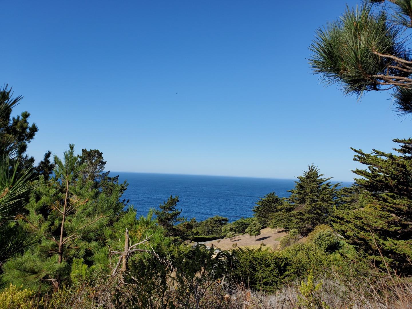 0 HIGHWAY1, CARMEL, California 93923, ,Lots And Land,For Sale,HIGHWAY1,40964796