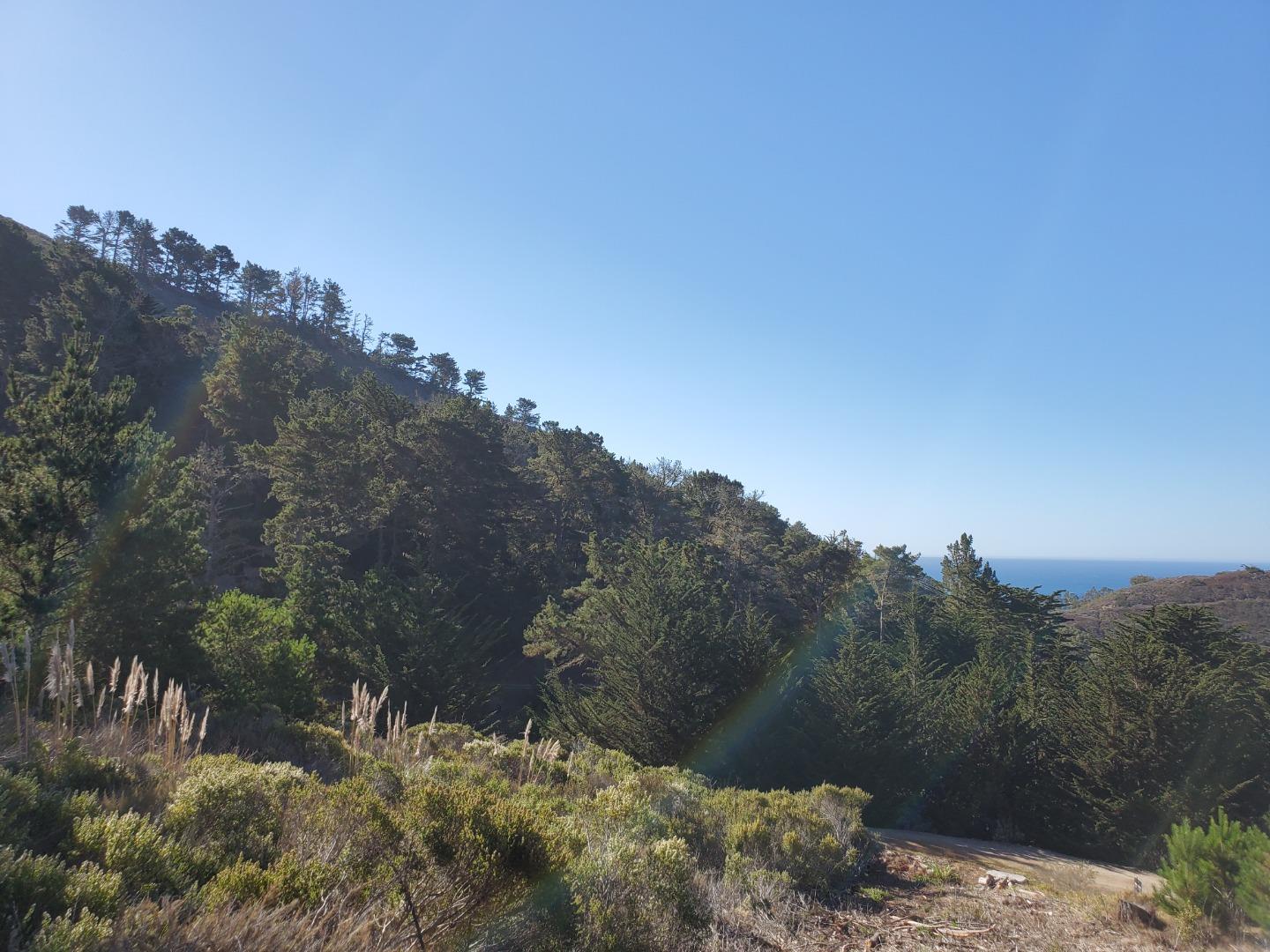 0 HIGHWAY1, CARMEL, California 93923, ,Lots And Land,For Sale,HIGHWAY1,40964796