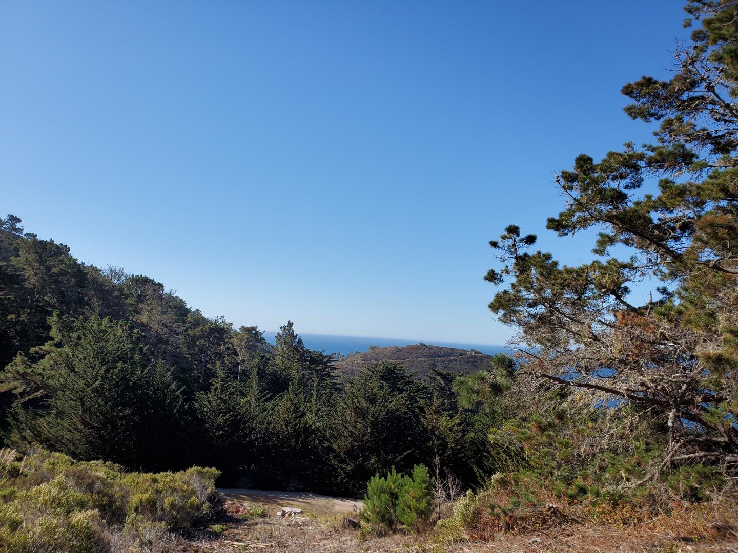 0 HIGHWAY1, CARMEL, California 93923, ,Lots And Land,For Sale,HIGHWAY1,40964796