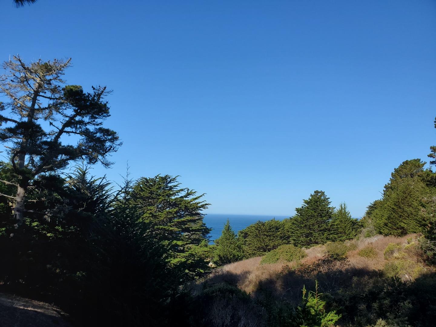 0 HIGHWAY1, CARMEL, California 93923, ,Lots And Land,For Sale,HIGHWAY1,40964796