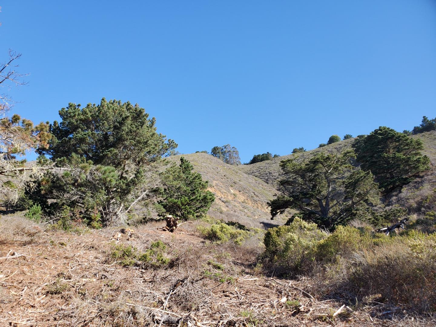 0 HIGHWAY1, CARMEL, California 93923, ,Lots And Land,For Sale,HIGHWAY1,40964796