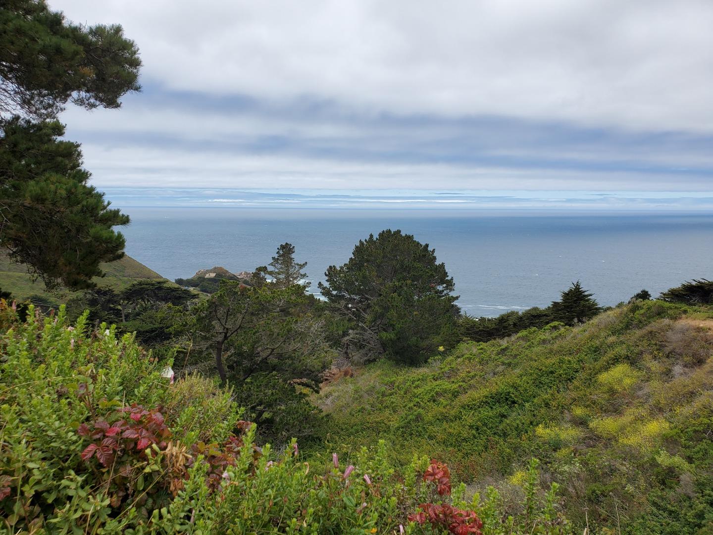 0 HIGHWAY1, CARMEL, California 93923, ,Lots And Land,For Sale,HIGHWAY1,40964796