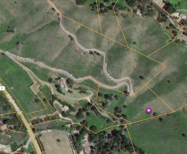 0 HIGHWAY1, CARMEL, California 93923, ,Lots And Land,For Sale,HIGHWAY1,40964796