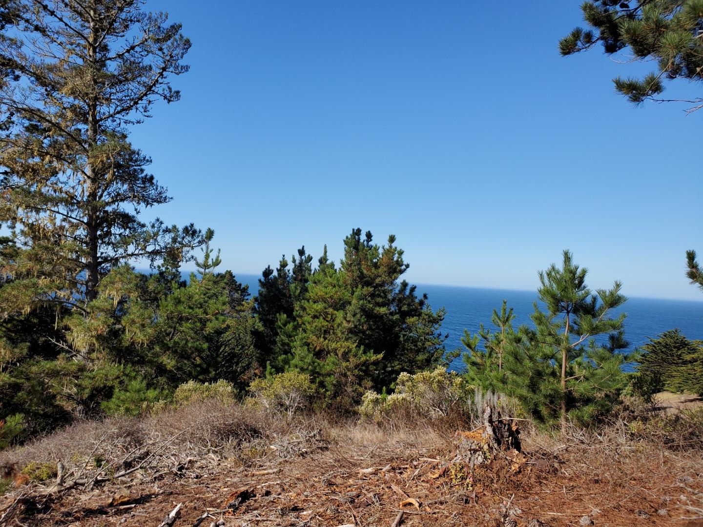 0 HIGHWAY1, CARMEL, California 93923, ,Lots And Land,For Sale,HIGHWAY1,40964796