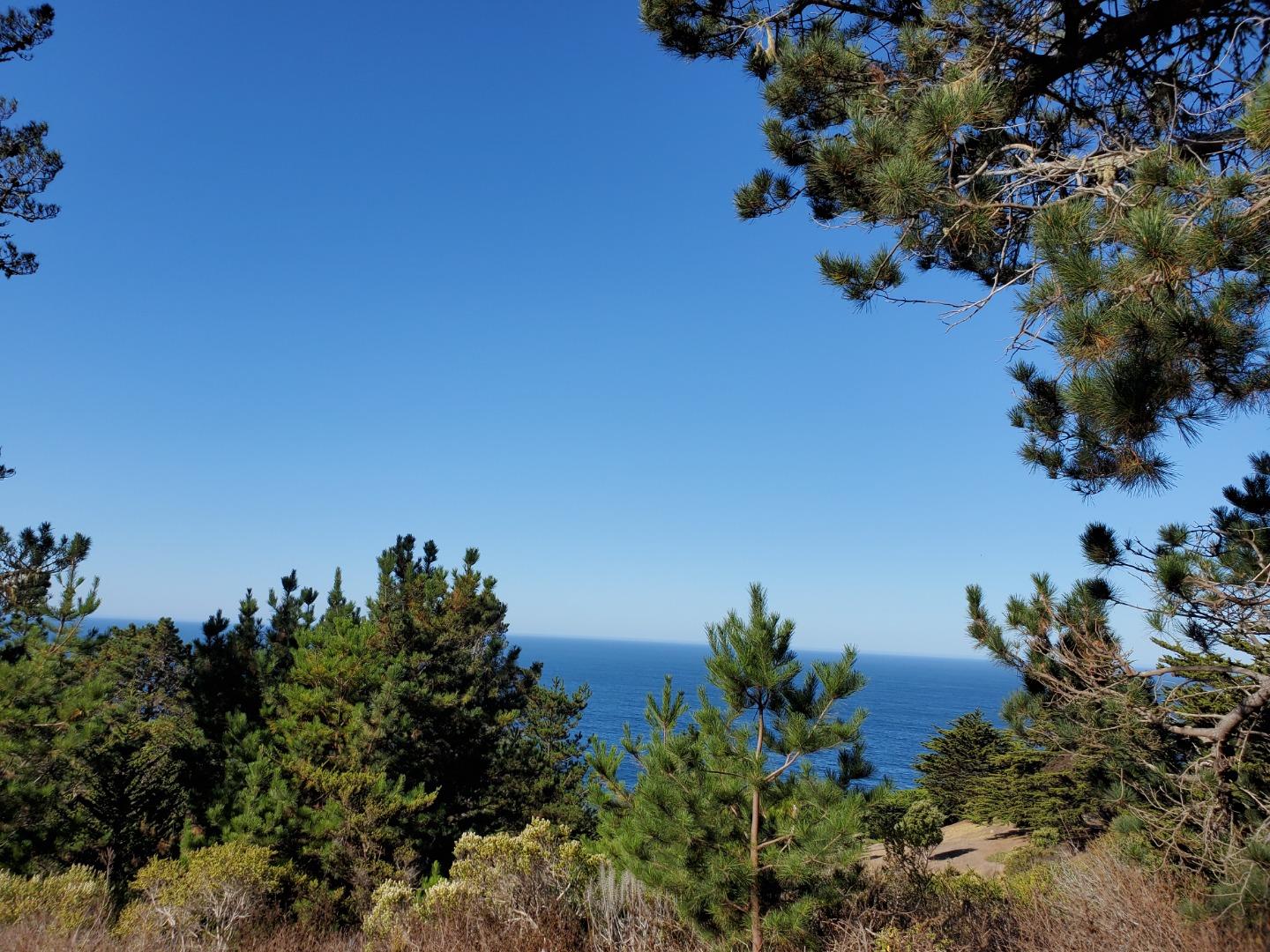 0 HIGHWAY1, CARMEL, California 93923, ,Lots And Land,For Sale,HIGHWAY1,40964796