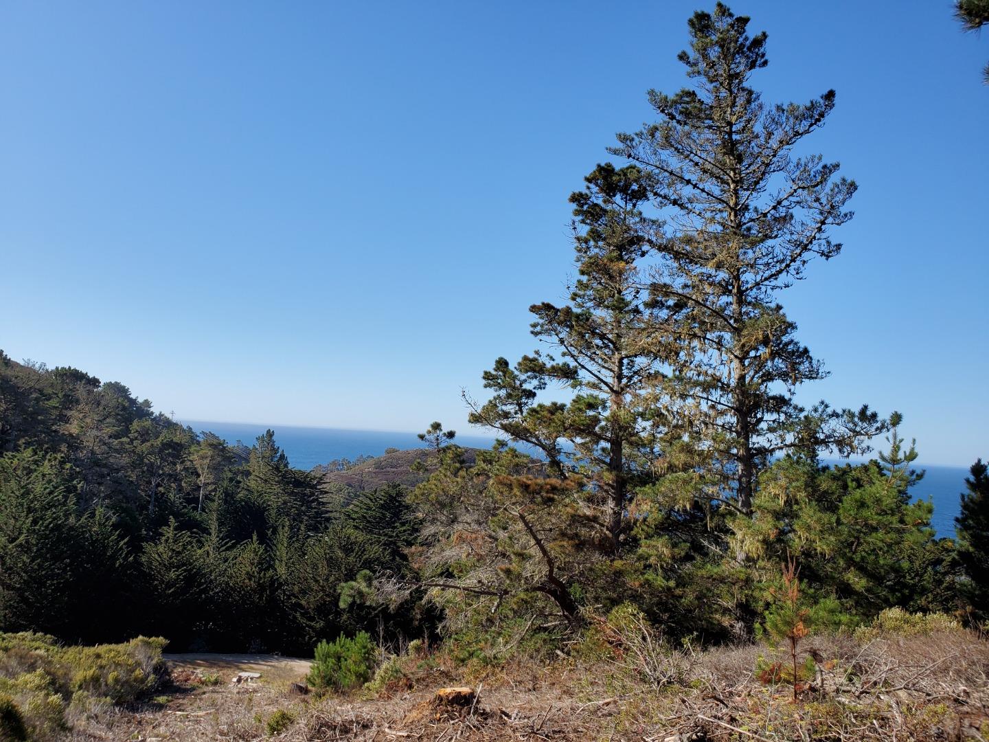 0 HIGHWAY1, CARMEL, California 93923, ,Lots And Land,For Sale,HIGHWAY1,40964796