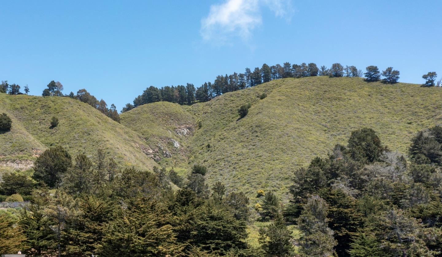 0 HIGHWAY1, CARMEL, California 93923, ,Lots And Land,For Sale,HIGHWAY1,40964796