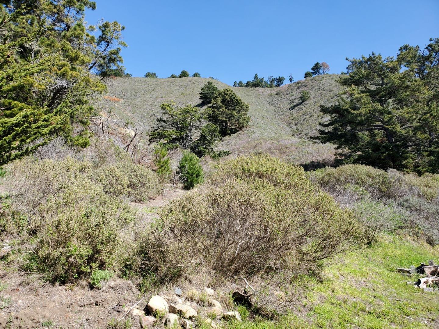 0 HIGHWAY1, CARMEL, California 93923, ,Lots And Land,For Sale,HIGHWAY1,40964796