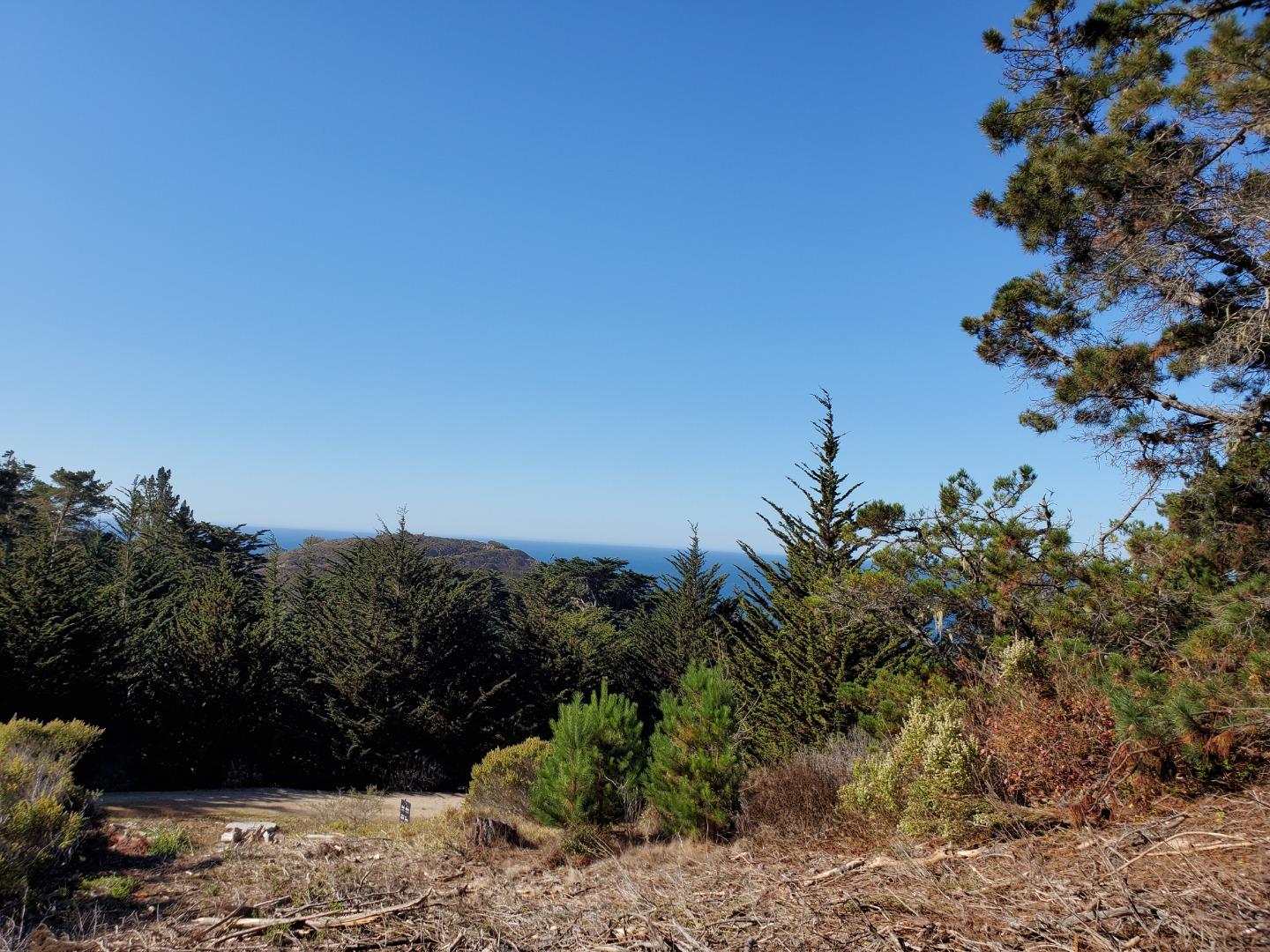 0 HIGHWAY1, CARMEL, California 93923, ,Lots And Land,For Sale,HIGHWAY1,40964796
