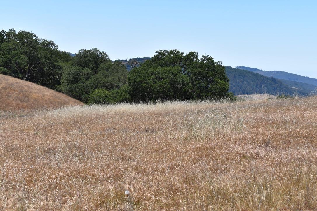 23 Vasquez Trail, CARMEL, California 93923, ,Lots And Land,For Sale,Vasquez Trail,40964810