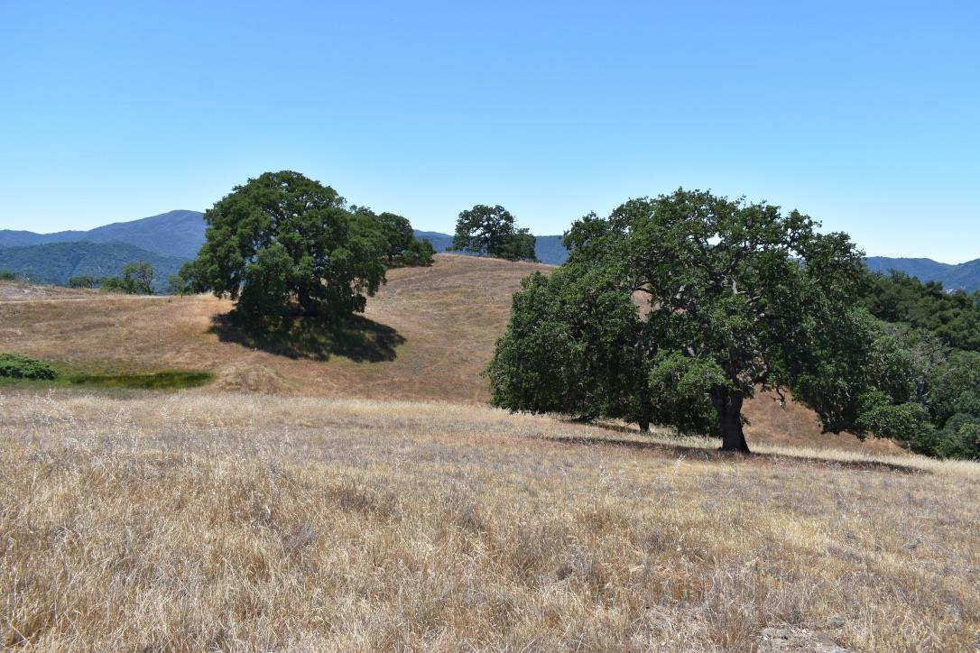 23 Vasquez Trail, CARMEL, California 93923, ,Lots And Land,For Sale,Vasquez Trail,40964810