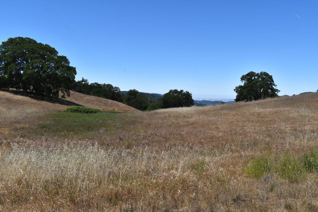 23 Vasquez Trail, CARMEL, California 93923, ,Lots And Land,For Sale,Vasquez Trail,40964810