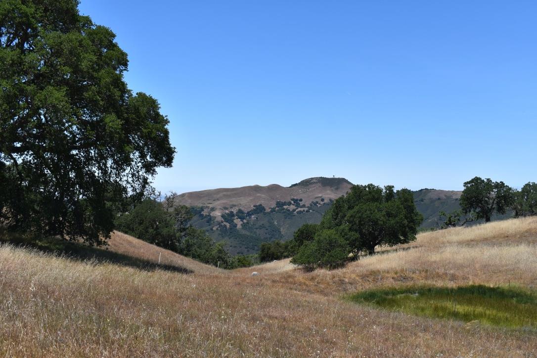 23 Vasquez Trail, CARMEL, California 93923, ,Lots And Land,For Sale,Vasquez Trail,40964810