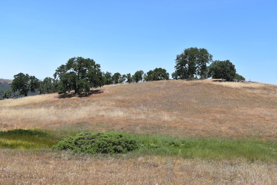 23 Vasquez Trail, CARMEL, California 93923, ,Lots And Land,For Sale,Vasquez Trail,40964810