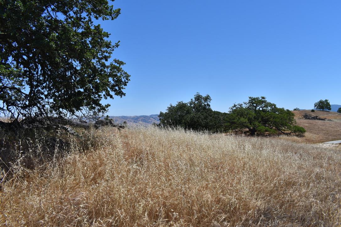 23 Vasquez Trail, CARMEL, California 93923, ,Lots And Land,For Sale,Vasquez Trail,40964810