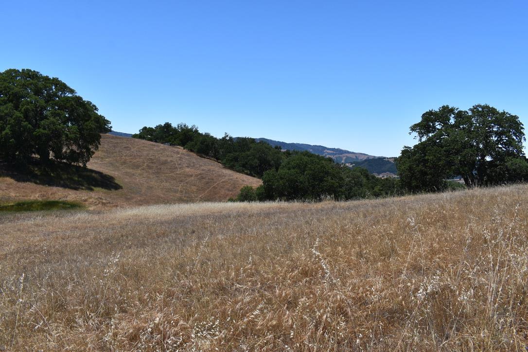 23 Vasquez Trail, CARMEL, California 93923, ,Lots And Land,For Sale,Vasquez Trail,40964810