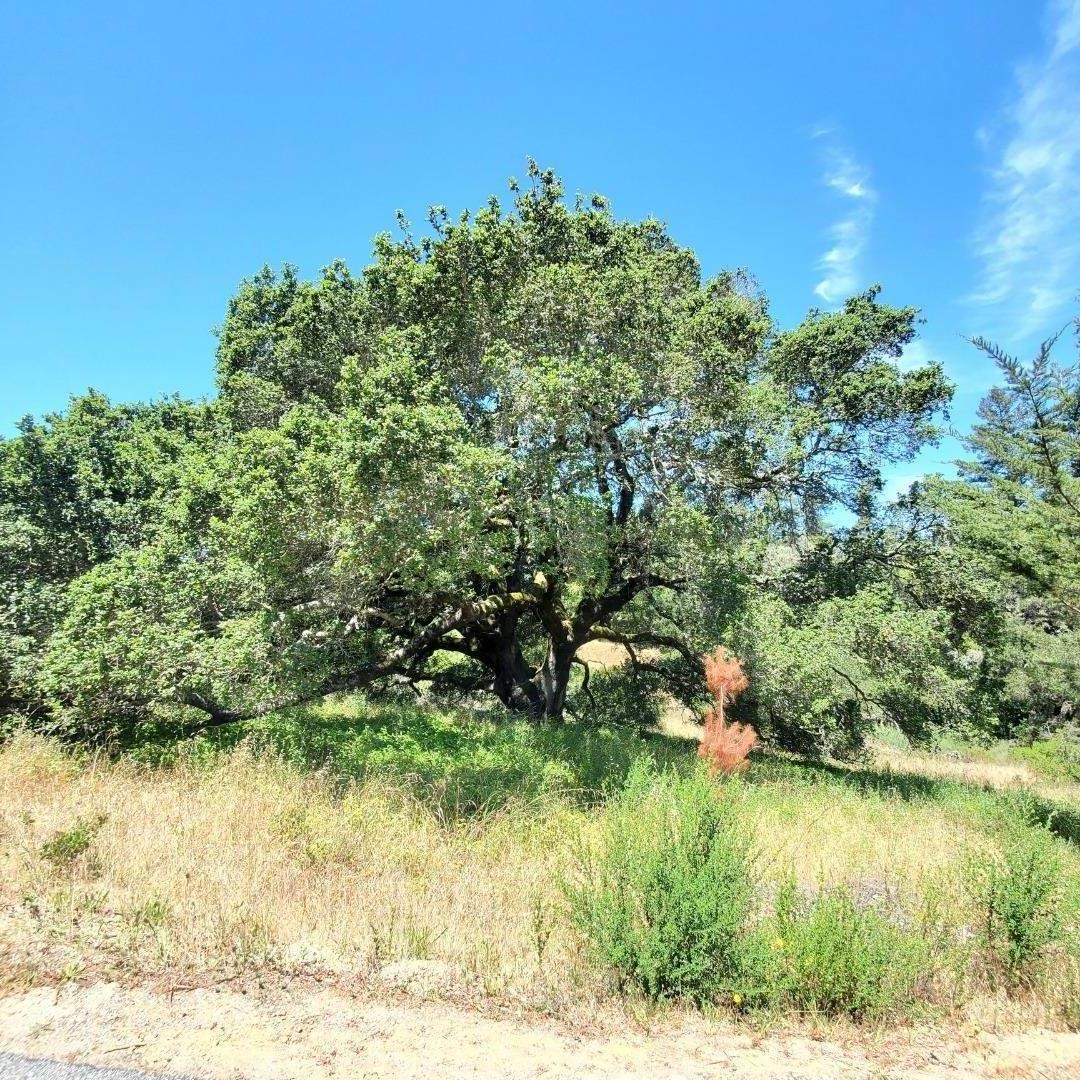 0 Casa Way, SCOTTS VALLEY, California 95066, ,Lots And Land,For Sale,Casa Way,40964827