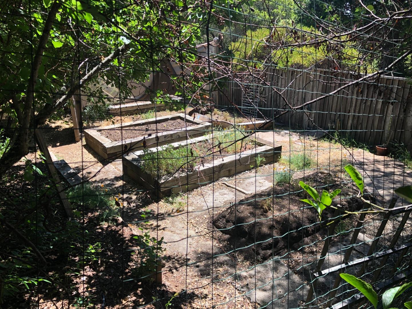 15 Pine Hill Drive, SANTA CRUZ, California 95060, ,Lots And Land,For Sale,Pine Hill Drive,40964872