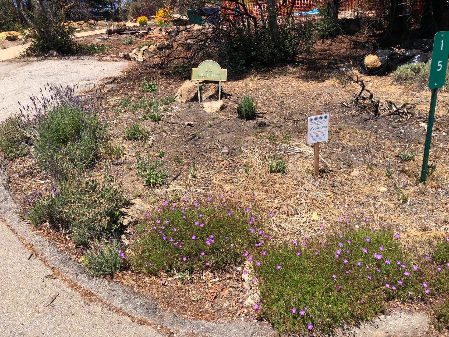 15 Pine Hill Drive, SANTA CRUZ, California 95060, ,Lots And Land,For Sale,Pine Hill Drive,40964872