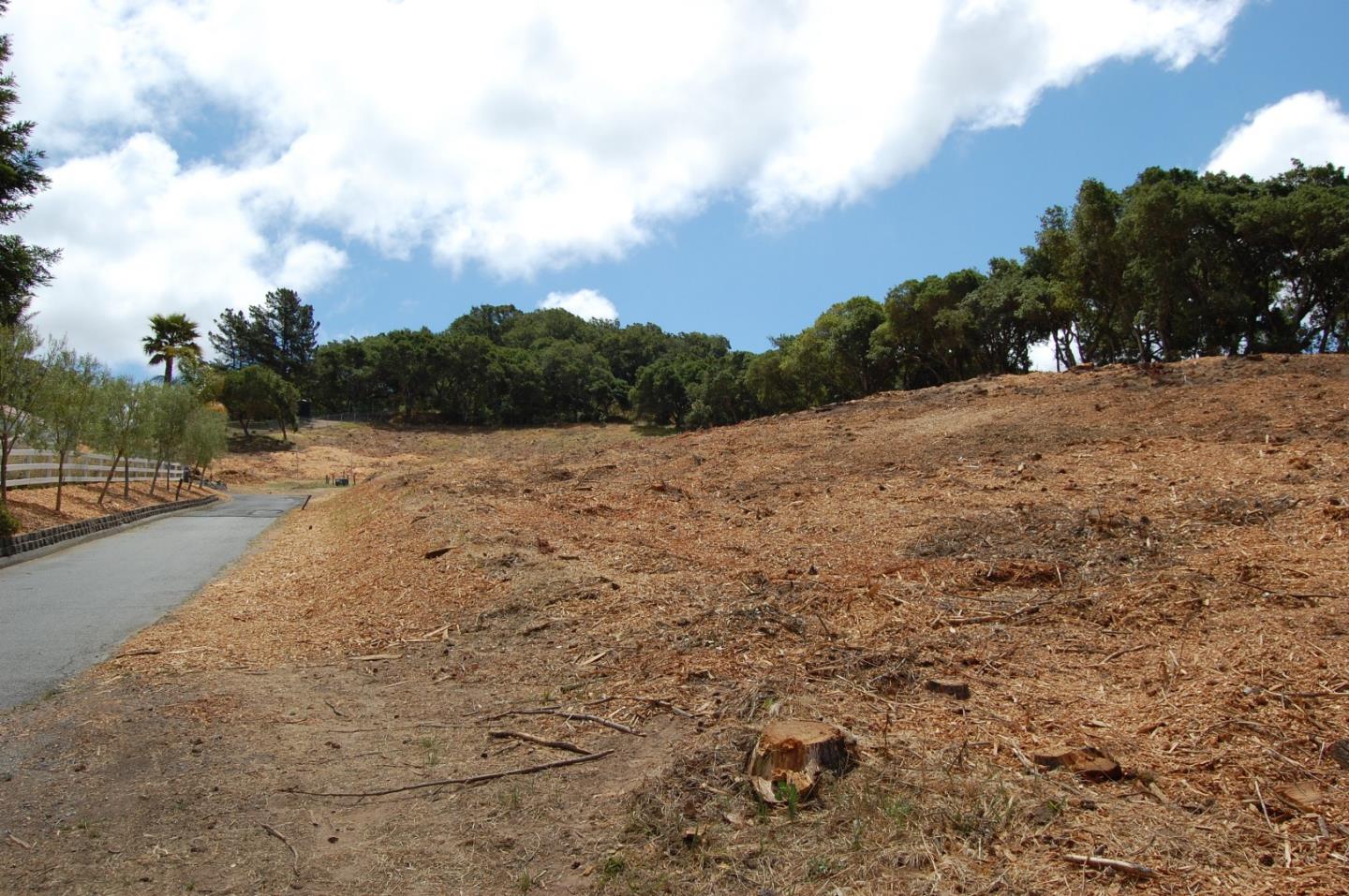 166 C Aromas Road, AROMAS, California 95004, ,Lots And Land,For Sale,Aromas Road,40964881
